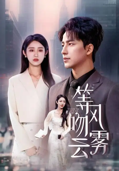 热播电视剧回声之城全集手机免费在线观看